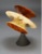 Costa-Hoffman-Meeks-minimal-surface-turned-wood-math-sculpture-art