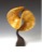 Trefoil-minimal-surface-turned-art-wood-sculpture-math-Enneper