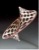 Conic-Inversion-Turned-art-math-fibonacci-minimal-surface-2