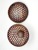 Diatom-turned-wwod-art-Staphanopyxis-sculpture-turris