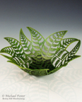FracalFerns-6-130228