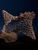 Riptide-minimal-surface-wood-turned-carved-art-sculpture