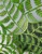 FractalFerns-fractal-math-wood-turned-art-sculpture-2