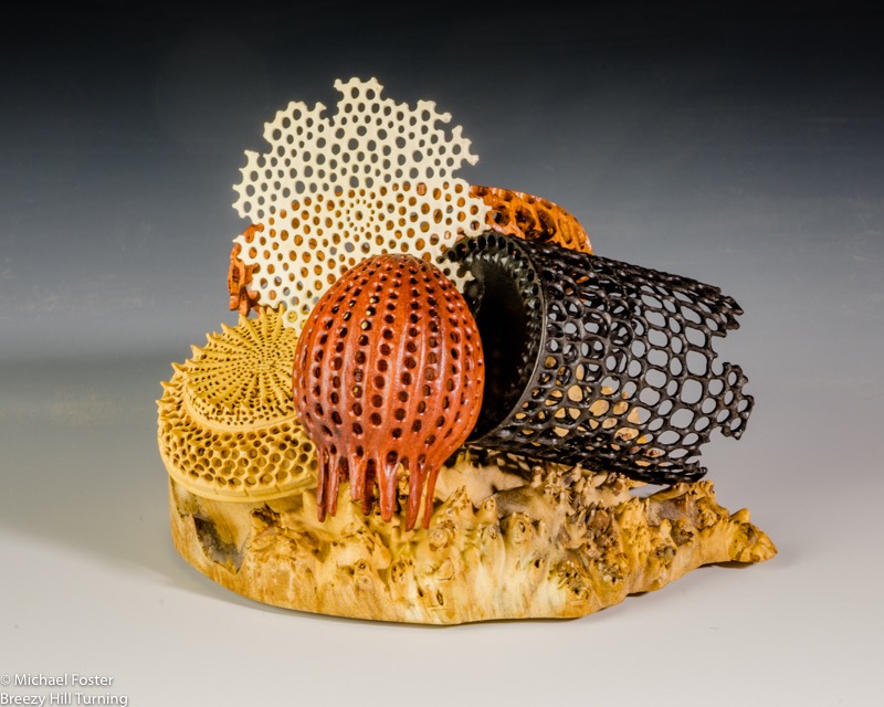 Miocene Memories-  a collection of pieces based on electron microscope images of diatom frustules from the Miocene era----SOLD