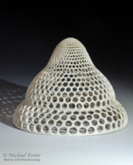 Radiolarian II-14-140202