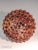 RadiolarianV-radiolarians-wood-turned-art