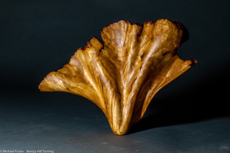 Elephant Ear-  A piece that was not turned, onlly carved---AVAILABLE
