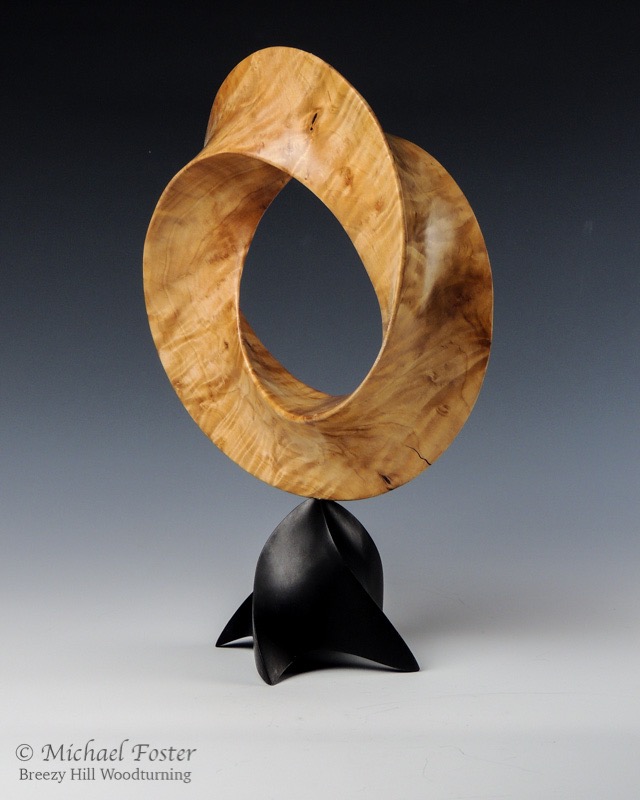 A Mathematician's Dream-   The surface joining the edges approximates a minimal surface and the cross section of the torus forms a hypocycloid.----SOLD