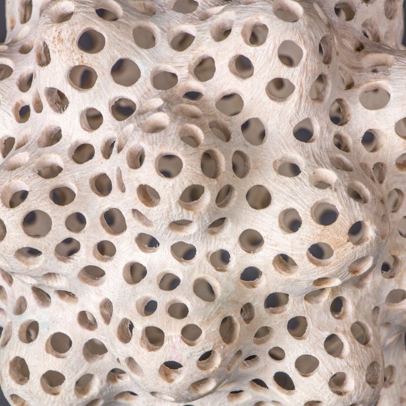 Radiolarian VI-   Sugar Maple, Bleach, Fixatiff.  Base- Ebony.  4.75&rdquo; x 4.75&rdquo; x 6&rdquo;----AVAILABLE