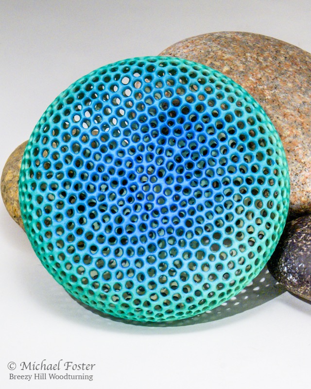 Diatom I-    Based on a sacnning electron micrograph of a Coscinodiscus diatom.----AVAILABLE